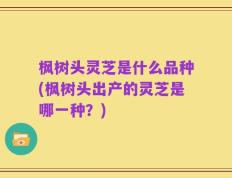 枫树头灵芝是什么品种(枫树头出产的灵芝是哪一种？)