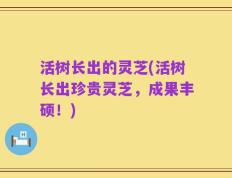 活树长出的灵芝(活树长出珍贵灵芝，成果丰硕！)