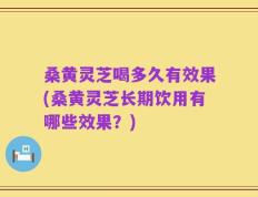 桑黄灵芝喝多久有效果(桑黄灵芝长期饮用有哪些效果？)
