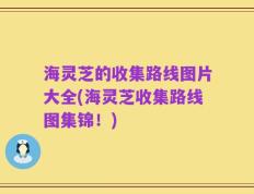 海灵芝的收集路线图片大全(海灵芝收集路线图集锦！)