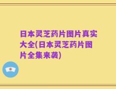 日本灵芝药片图片真实大全(日本灵芝药片图片全集来袭)