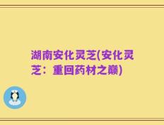 湖南安化灵芝(安化灵芝：重回药材之巅)