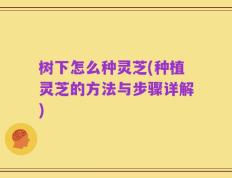 树下怎么种灵芝(种植灵芝的方法与步骤详解)