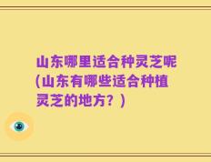 山东哪里适合种灵芝呢(山东有哪些适合种植灵芝的地方？)