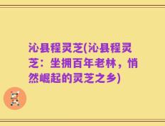 沁县程灵芝(沁县程灵芝：坐拥百年老林，悄然崛起的灵芝之乡)