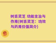 树舌灵芝 功能主治与作用(树舌灵芝：功效与药用价值简介)