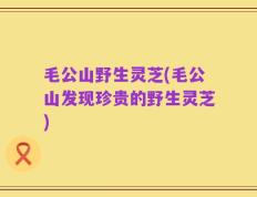 毛公山野生灵芝(毛公山发现珍贵的野生灵芝)