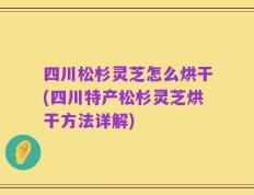 四川松杉灵芝怎么烘干(四川特产松杉灵芝烘干方法详解)