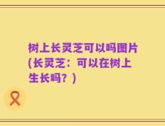 树上长灵芝可以吗图片(长灵芝：可以在树上生长吗？)