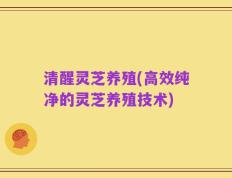 清醒灵芝养殖(高效纯净的灵芝养殖技术)