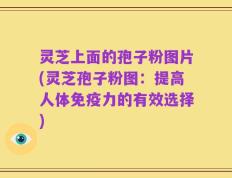 灵芝上面的孢子粉图片(灵芝孢子粉图：提高人体免疫力的有效选择)