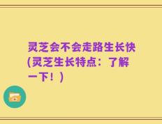 灵芝会不会走路生长快(灵芝生长特点：了解一下！)