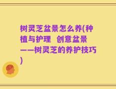 树灵芝盆景怎么养(种植与护理  创意盆景——树灵芝的养护技巧)