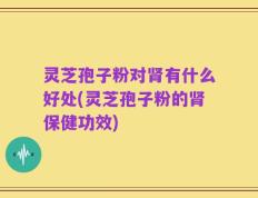 灵芝孢子粉对肾有什么好处(灵芝孢子粉的肾保健功效)