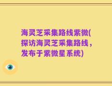 海灵芝采集路线紫微(探访海灵芝采集路线，发布于紫微星系统)