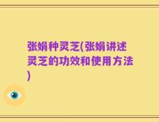 张娟种灵芝(张娟讲述灵芝的功效和使用方法)