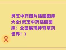 灵芝中药图片插画图库大全(灵芝中药插画图库：全面展现神奇草药世界！)