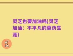 灵芝也要加油吗(灵芝加油：不平凡的草药生涯)