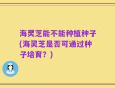 海灵芝能不能种植种子(海灵芝是否可通过种子培育？)