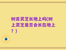 树舌灵芝长地上吗(树上灵芝是否会长在地上？)