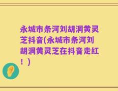 永城市条河刘胡洞黄灵芝抖音(永城市条河刘胡洞黄灵芝在抖音走红！)