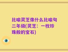 比喻灵芝像什么比喻句二年级(灵芝：一枚珍珠般的宝石)