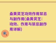 桑黄灵芝功效作用禁忌与副作用(桑黄灵芝：功效、作用与禁忌副作用详解)