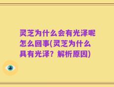 灵芝为什么会有光泽呢怎么回事(灵芝为什么具有光泽？解析原因)