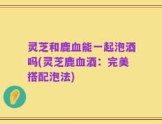 灵芝和鹿血能一起泡酒吗(灵芝鹿血酒：完美搭配泡法)