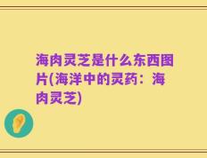 海肉灵芝是什么东西图片(海洋中的灵药：海肉灵芝)