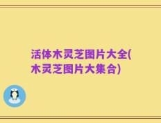 活体木灵芝图片大全(木灵芝图片大集合)