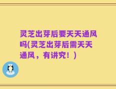 灵芝出芽后要天天通风吗(灵芝出芽后需天天通风，有讲究！)