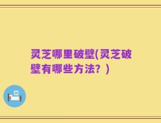灵芝哪里破壁(灵芝破壁有哪些方法？)