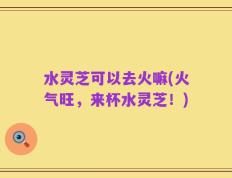 水灵芝可以去火嘛(火气旺，来杯水灵芝！)