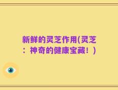 新鲜的灵芝作用(灵芝：神奇的健康宝藏！)
