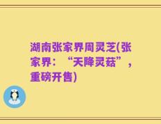 湖南张家界周灵芝(张家界：“天降灵菇”，重磅开售)