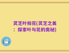 灵芝叶和花(灵芝之美：探索叶与花的奥秘)