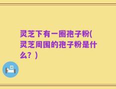 灵芝下有一圈孢子粉(灵芝周围的孢子粉是什么？)
