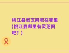 桃江县灵芝网吧在哪里(桃江县哪里有灵芝网吧？)