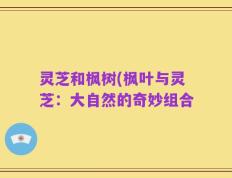 灵芝和枫树(枫叶与灵芝：大自然的奇妙组合