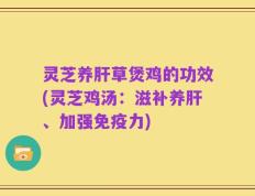 灵芝养肝草煲鸡的功效(灵芝鸡汤：滋补养肝、加强免疫力)