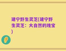 建宁野生灵芝(建宁野生灵芝：大自然的瑰宝)