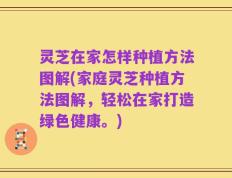 灵芝在家怎样种植方法图解(家庭灵芝种植方法图解，轻松在家打造绿色健康。)
