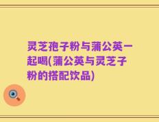 灵芝孢子粉与蒲公英一起喝(蒲公英与灵芝子粉的搭配饮品)