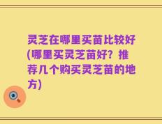 灵芝在哪里买苗比较好(哪里买灵芝苗好？推荐几个购买灵芝苗的地方)