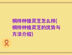 桐梓种植灵芝怎么样(桐梓种植灵芝的优势与方法介绍)