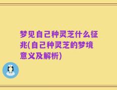 梦见自己种灵芝什么征兆(自己种灵芝的梦境意义及解析)
