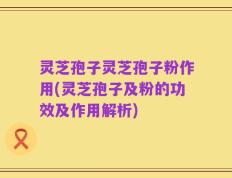 灵芝孢子灵芝孢子粉作用(灵芝孢子及粉的功效及作用解析)