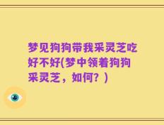 梦见狗狗带我采灵芝吃好不好(梦中领着狗狗采灵芝，如何？)
