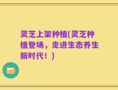 灵芝上架种植(灵芝种植登场，走进生态养生新时代！)